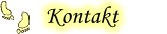 Kontakt